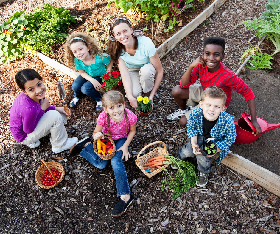 Module 2: Outdoor and garden based education in preschool and kindergarten